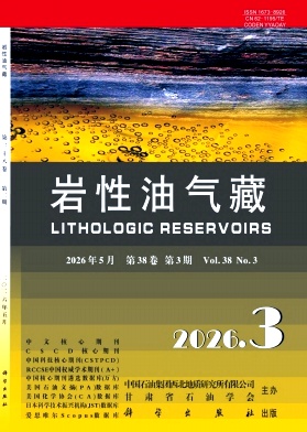 岩性油气藏封面